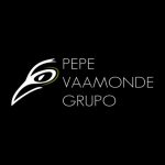 Logo do grupo Pepe Vaamonde Grupo